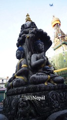 0DSC05683_副本.jpg