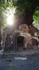 0dsc05690_副本.jpg