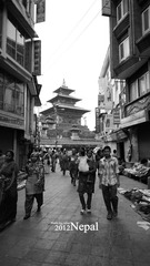 0dsc05715_副本.jpg