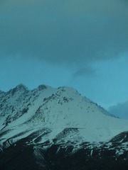 13781