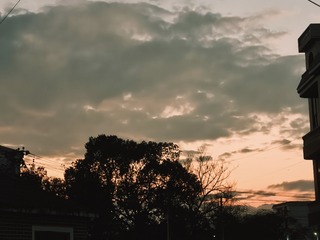 1000020181