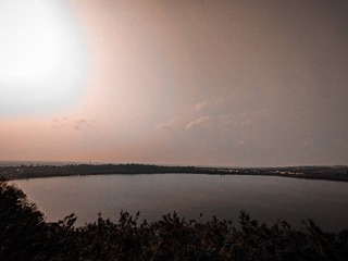 1000099462