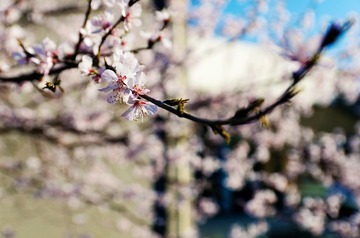 NIK_0843l