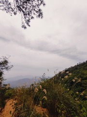 1000077280