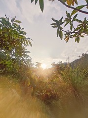 1000088976