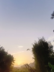 1000100230