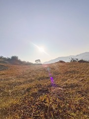 1000078258