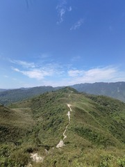 1000063515