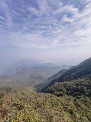 1000079418