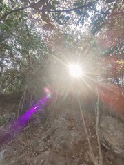 1000084470