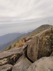 1000095740