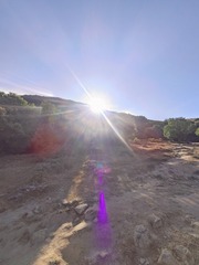 1000083302
