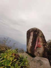 1000095693