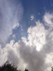 1000092126
