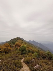 1000095692