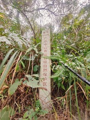 1000083941