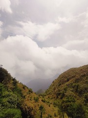 1000101417
