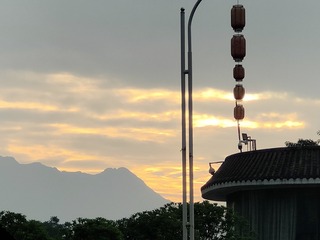 1000022973