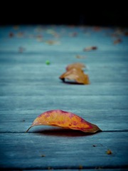 2012102600002.JPG