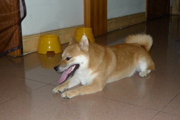200303