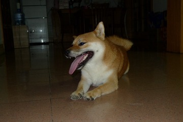200306
