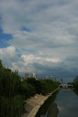 201036