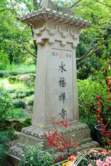 164512