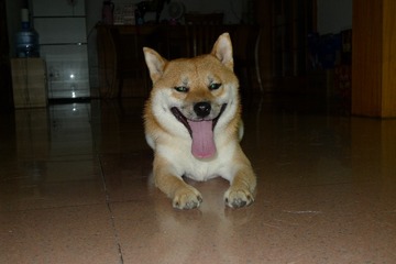 200305