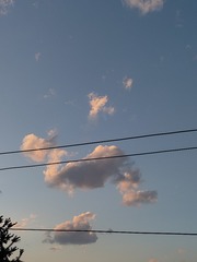 1000013644