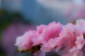 204218