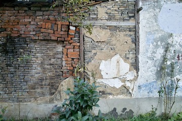 SDIM0077.jpg