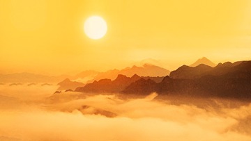 1000020120