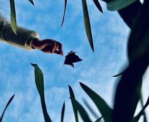 001