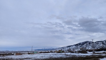 1000067748