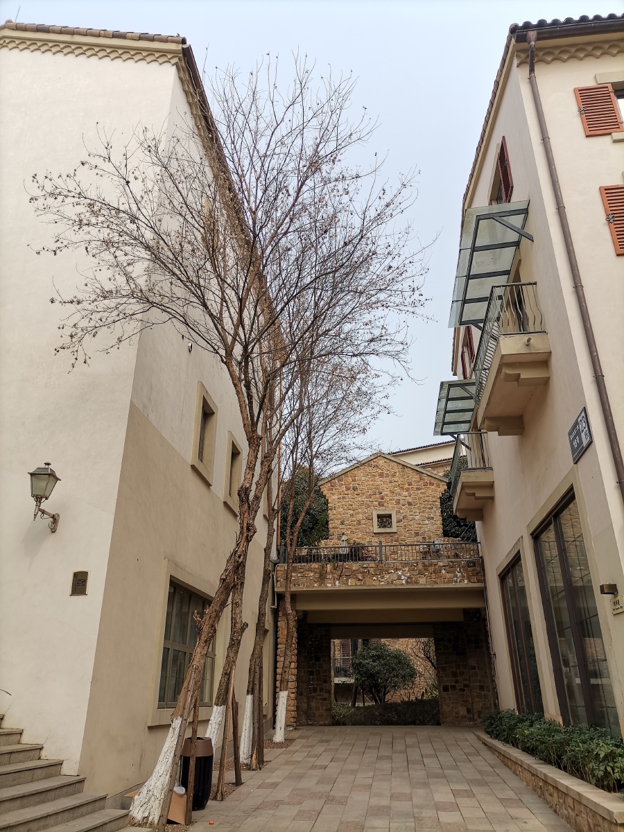 大美成都之麓山小镇