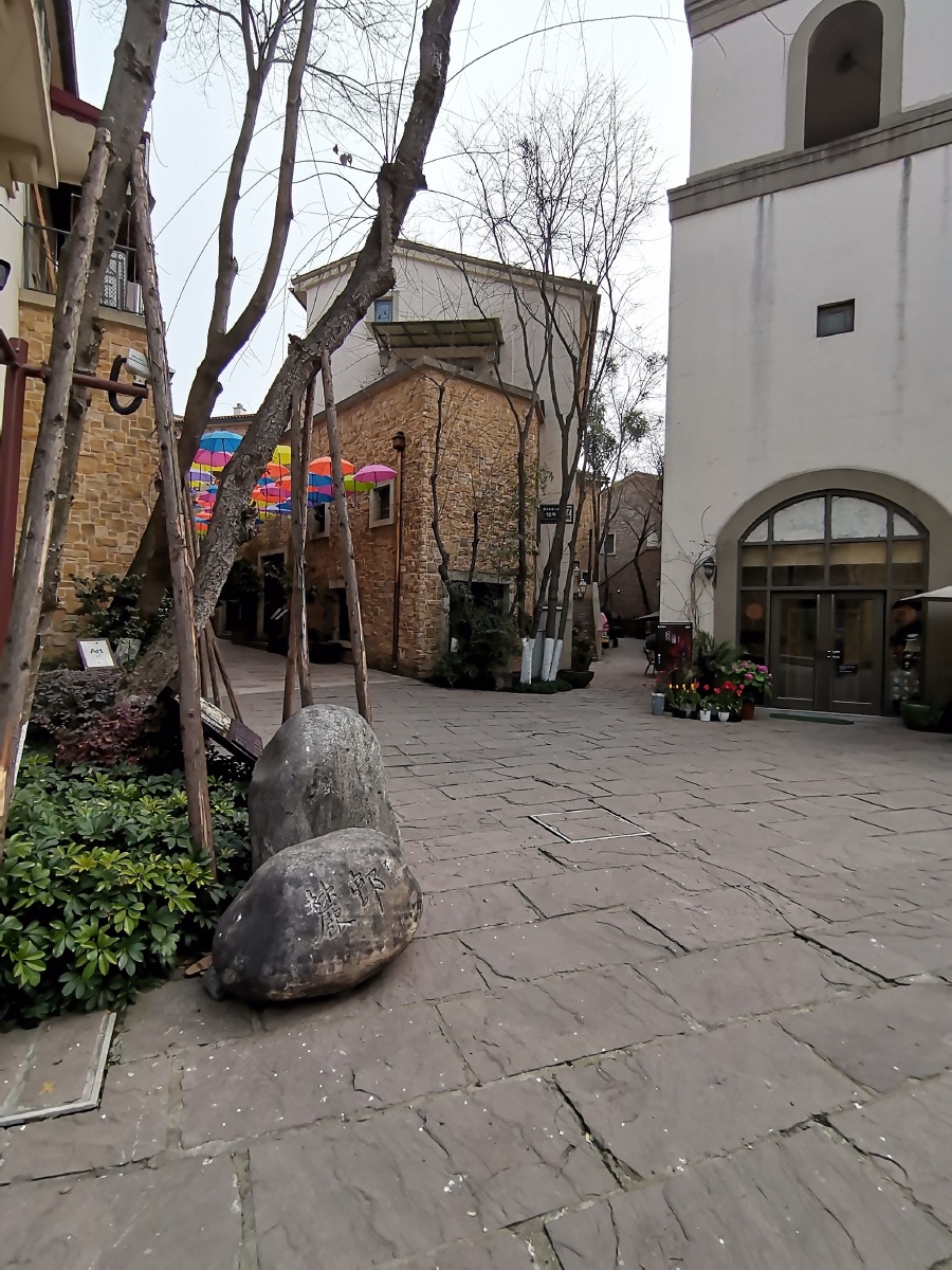 大美成都之麓山小镇