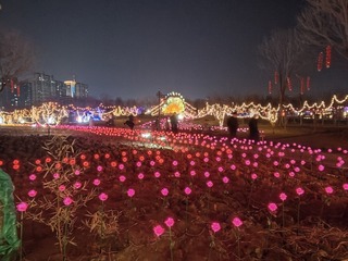 1000036806