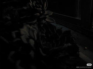 21020