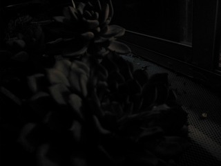 21014