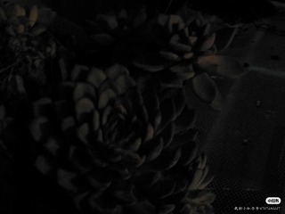 21019