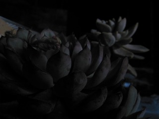 21013
