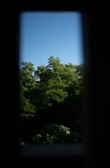 1000250241