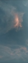 1000010658