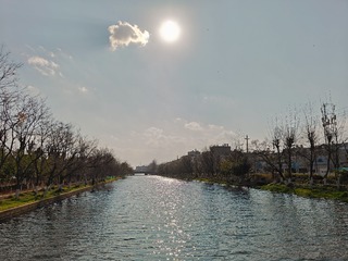 1000005166