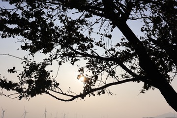1000102629