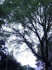 106415