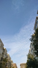 1000017349