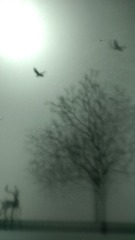 1000017419