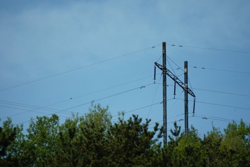 1000057949
