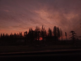 1000026476